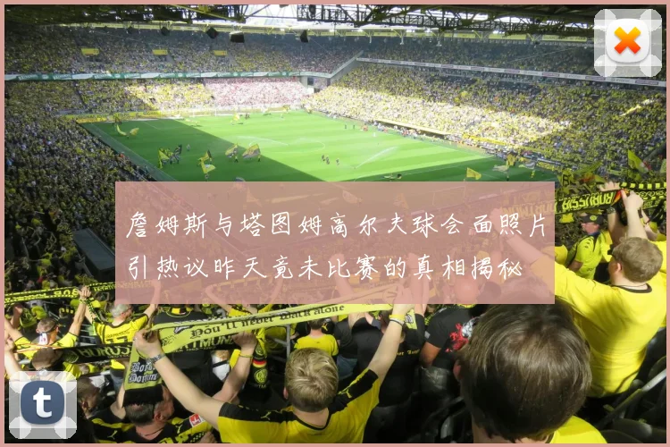 詹姆斯与塔图姆高尔夫球会面照片引热议昨天竟未比赛的真相揭秘