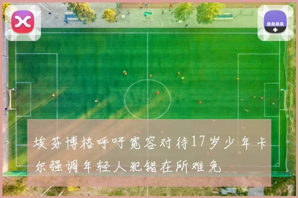 埃芬博格呼吁宽容对待17岁少年卡尔强调年轻人犯错在所难免