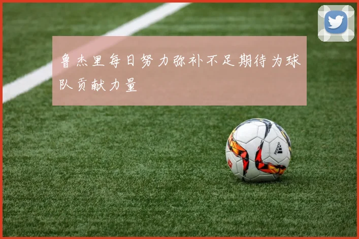 鲁杰里每日努力弥补不足期待为球队贡献力量